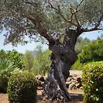 Holiday home Lovely Near Port Pollensa By Renthousing Port de Pollenca