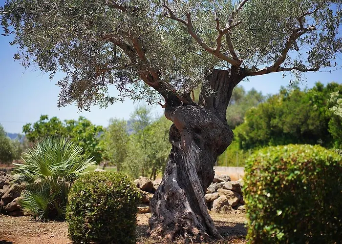 Σπίτι διακοπών Lovely Near Port Pollensa By Renthousing Port de Pollenca